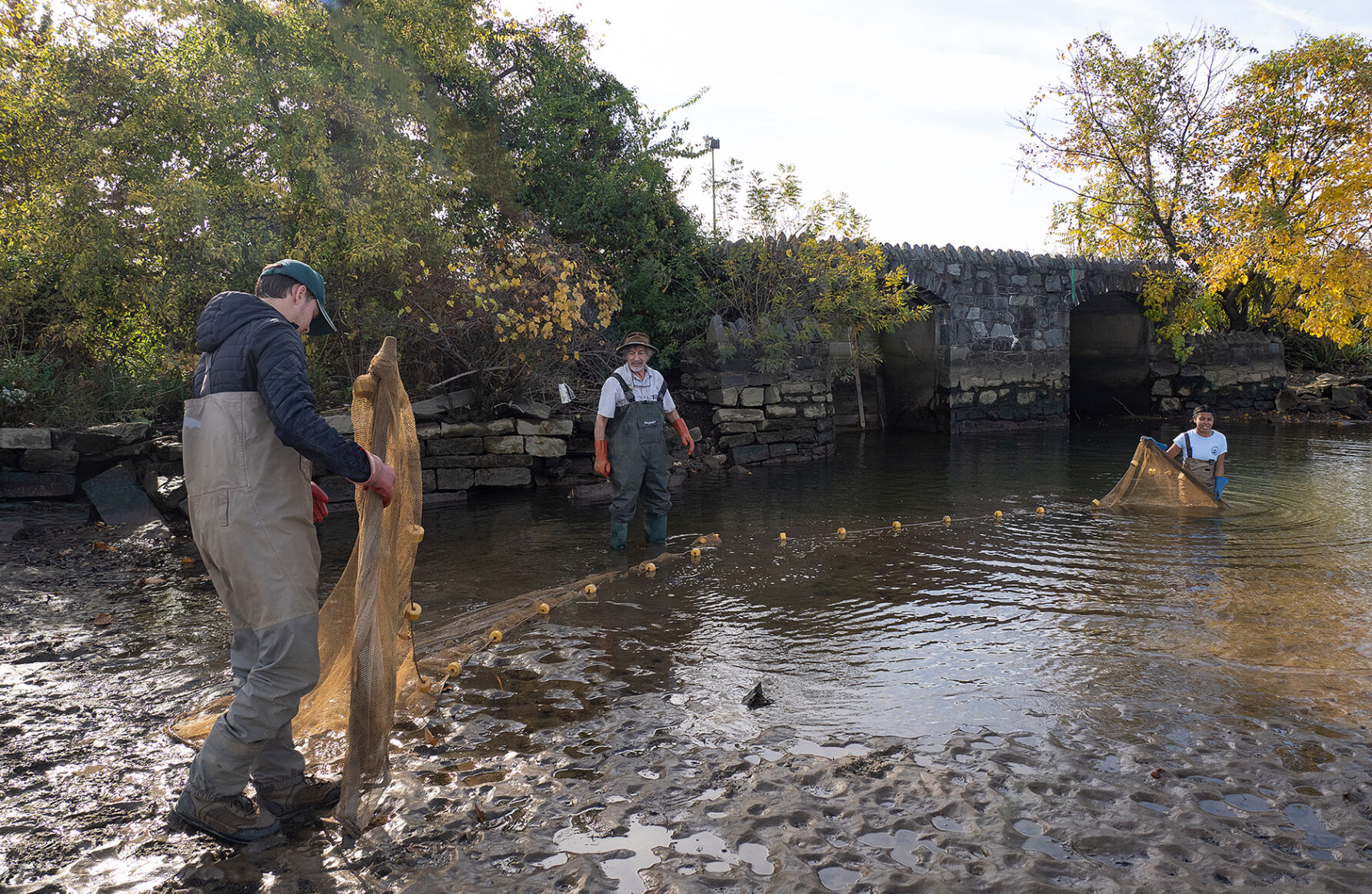 Seining in the Anacostia River